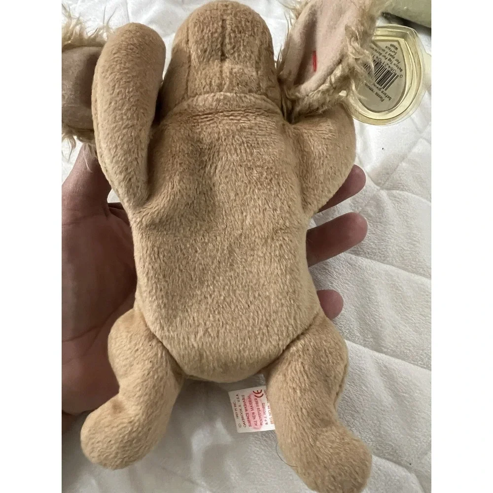 VERY RARE TY Beanie Baby‎ Spunky the Cocker Spaniel Dog 1997